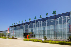 茶花泉-00106.jpg