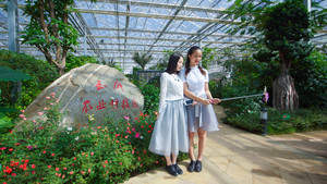 茶花泉-00125.jpg