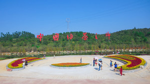 茶花泉-00129.jpg