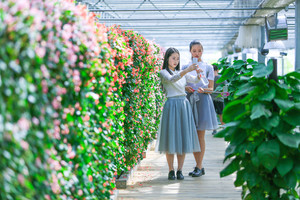 茶花泉-9048.jpg