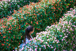 茶花泉-9071.jpg