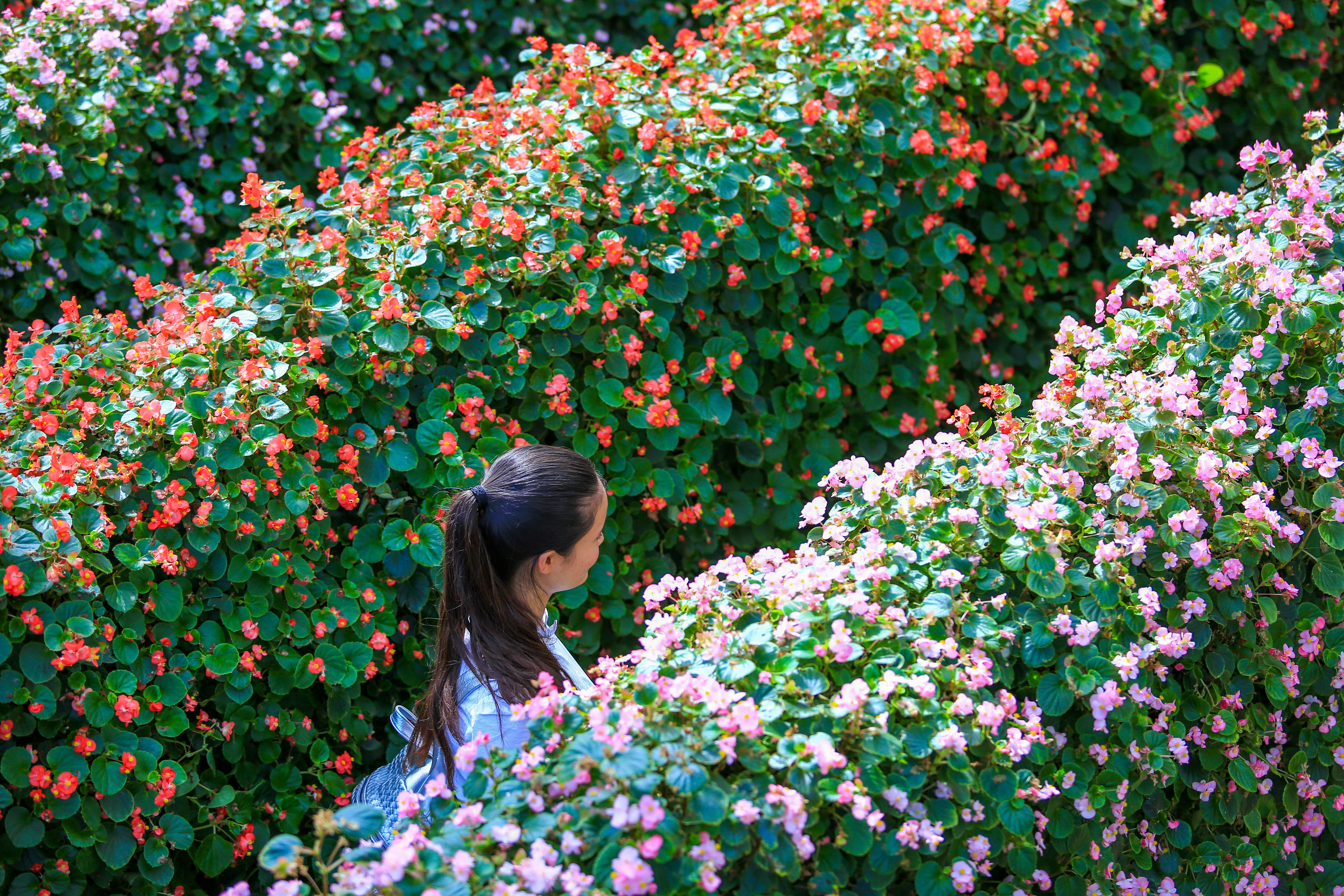 茶花泉-9071.jpg