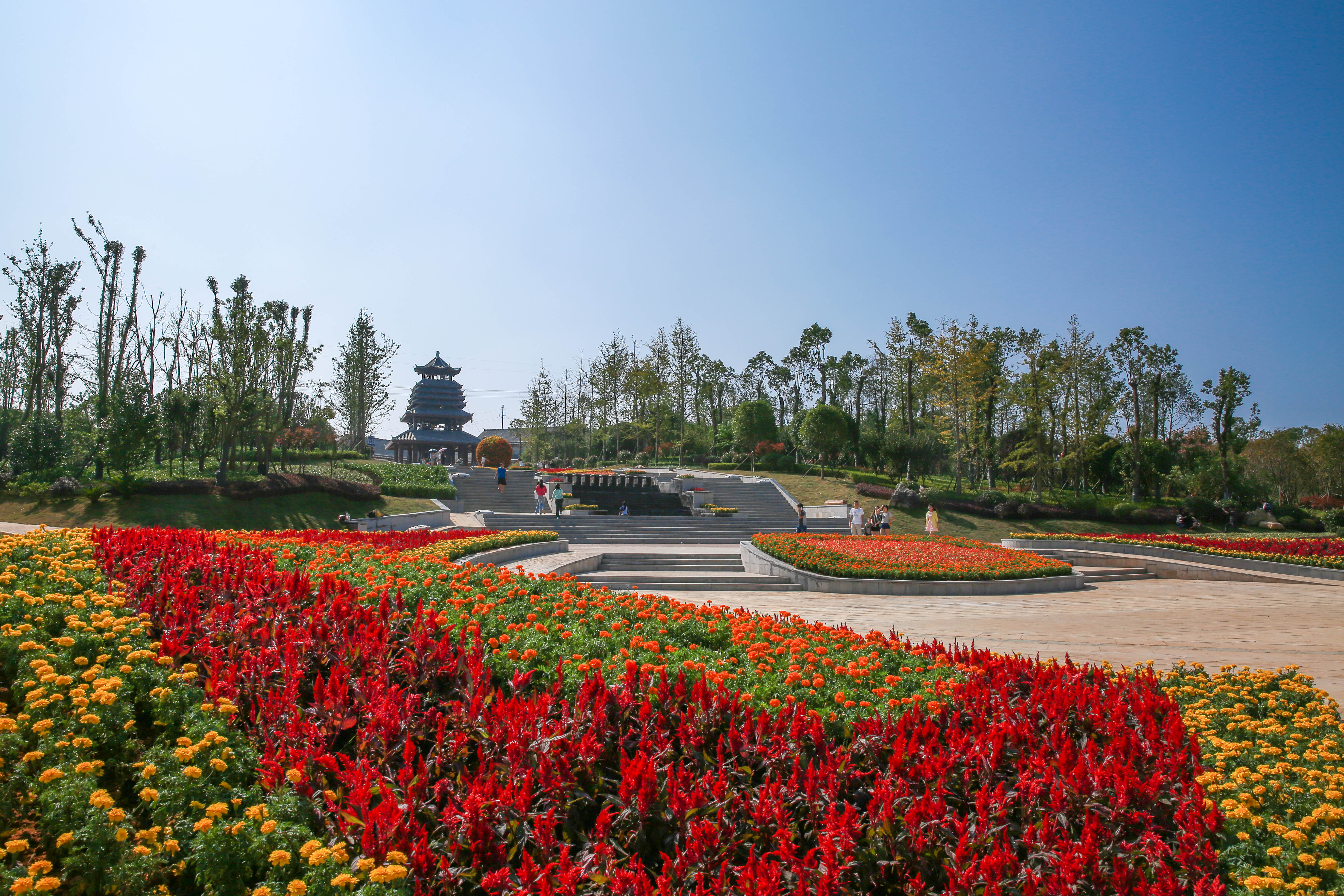 茶花泉-9110.jpg